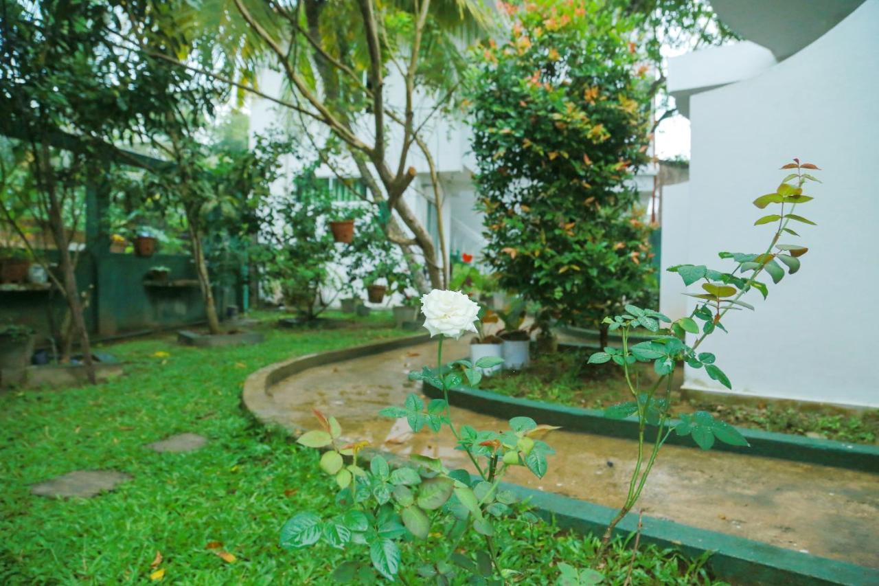 מיריסה Suwa Arana Resort מראה חיצוני תמונה
